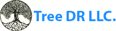 Tree Dr LLC