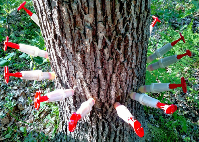 Tree Root Injections